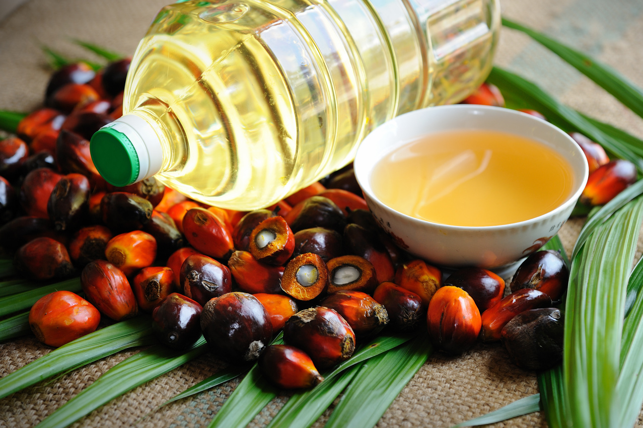 Oil palm fruits with cooking oil